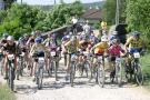 gal/GP_VTT_Hettange_2_juillet_2006/_thb_GP HETTANGE VTT 2006 095.jpg